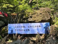 -宁波五龙潭景区