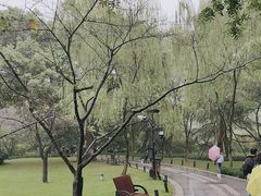 -柳浪闻莺公园