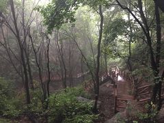 -大岭沟猕猴桃谷风景区
