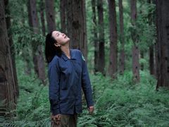 -黄海国家森林公园