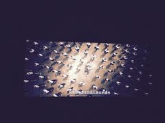 -太平洋影城(深圳8号仓店)