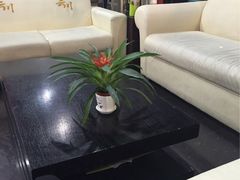 -云川台球(马甸店)