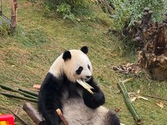 -青藏高原野生动物园