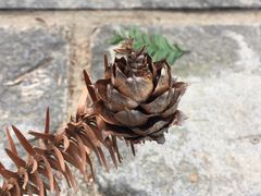 -安溪清水岩
