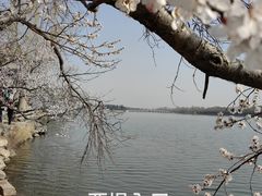 -颐和园