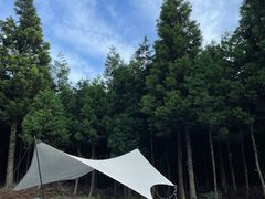 -重庆睡佛山森林公园