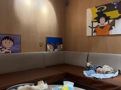 -MOCHA明星猫咖(田子坊店)