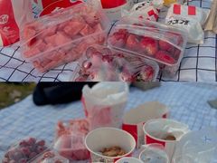 -贡湖湾湿地公园