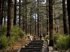 -峨眉山风景名胜区