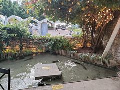 -大理老字号·舟渔的鱼野生菌海景餐厅(双廊店)