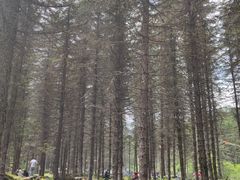 -硗碛藏寨·神木垒景区