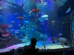 -沈阳海洋探索中心