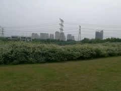 -九里河湿地公园