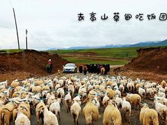 -大冬树山垭口