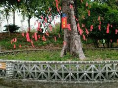 android_upload_pic-荔枝红五号农庄