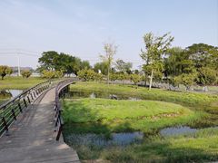 -北龙湖湿地公园