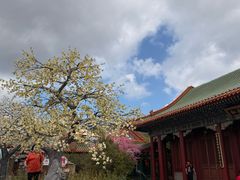 -珠海圆明新园