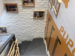 -帕帕拉兹宠物(亚洲旗舰店)