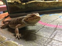 -酷嗒动物文化乐园(cutezoo西溪乐天城店)