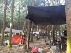 -重庆睡佛山森林公园