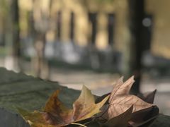 -T80科技文化国际社区-停车场