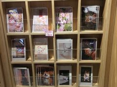 -猫的天空之城概念书店(苏州诚品店)