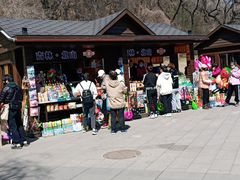-北山公园