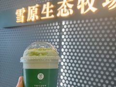-茉酸奶(春熙路店)