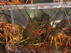 -海上人家The Sea Food Paradise Restaurant & Bar