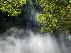 -广州白江湖森林公园