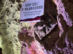 -周口店北京人遗址公园