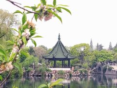 -无锡蠡湖国家湿地公园-蠡园