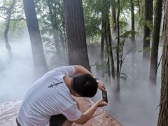 -东湖落雁景区