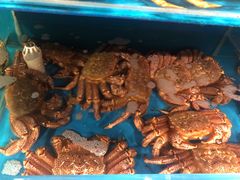 -蟹田居·活蟹料理(东城店)