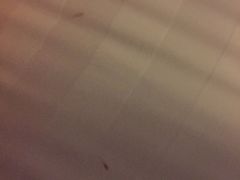 -南京新街口桔子水晶酒店