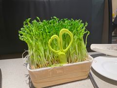 -海底捞火锅(群光广场店)