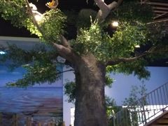 -黄海国家森林公园