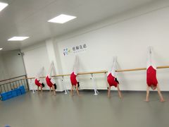 -梧桐花语舞蹈培训中心(潞城校区)