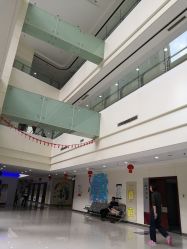 -复旦大学附属妇产科医院(杨浦院区)