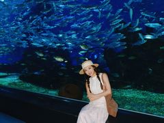 -海合安武汉极地海洋公园