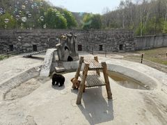 -哈尔滨北方森林动物园