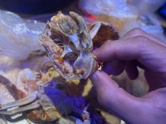 -老青岛海鲜烧烤大排档