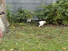 -杭州师范大学(下沙校区)