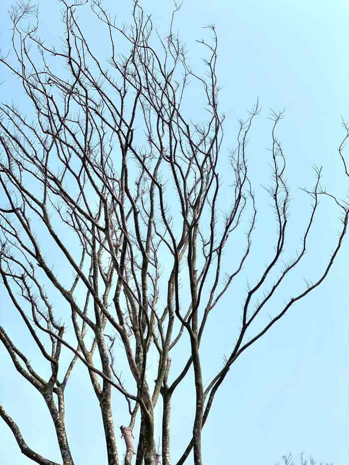 碧海银沙(恒大海上威尼斯酒店)-"碧海银沙位于启东恒