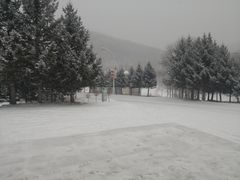 -亚布力新体委滑雪场