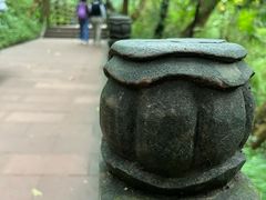 -青城山