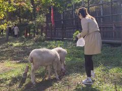 -参仙谷生态旅游度假区