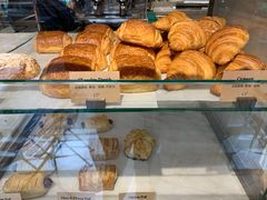 -Madeleine玛德琳(永平里店)