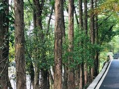 -鲁镇