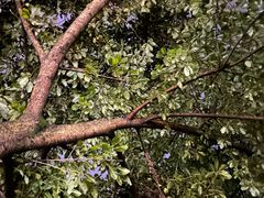 -四川农业大学(雅安校区)